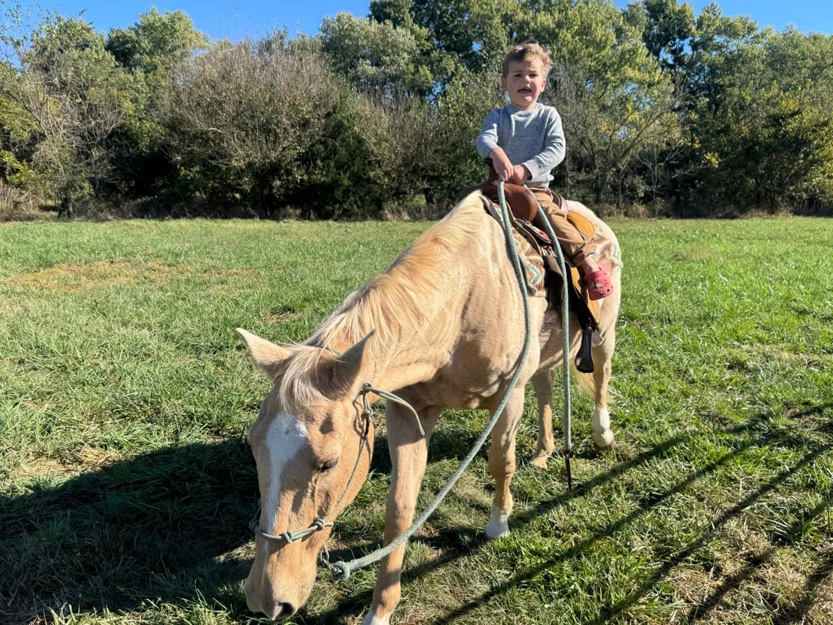 Little one riding a palomino in the pasture