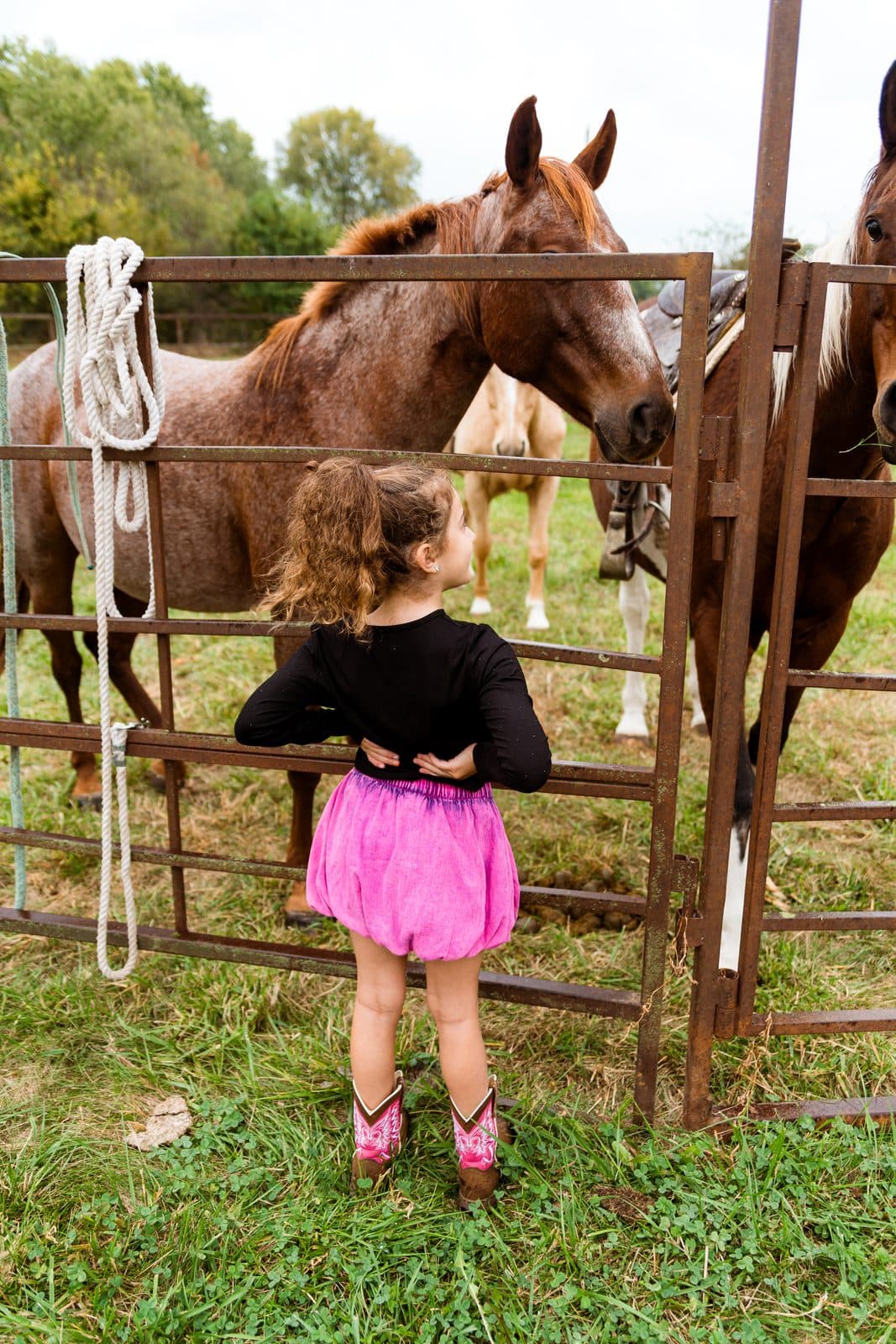 Little girl in cowboy boots meeting the horses