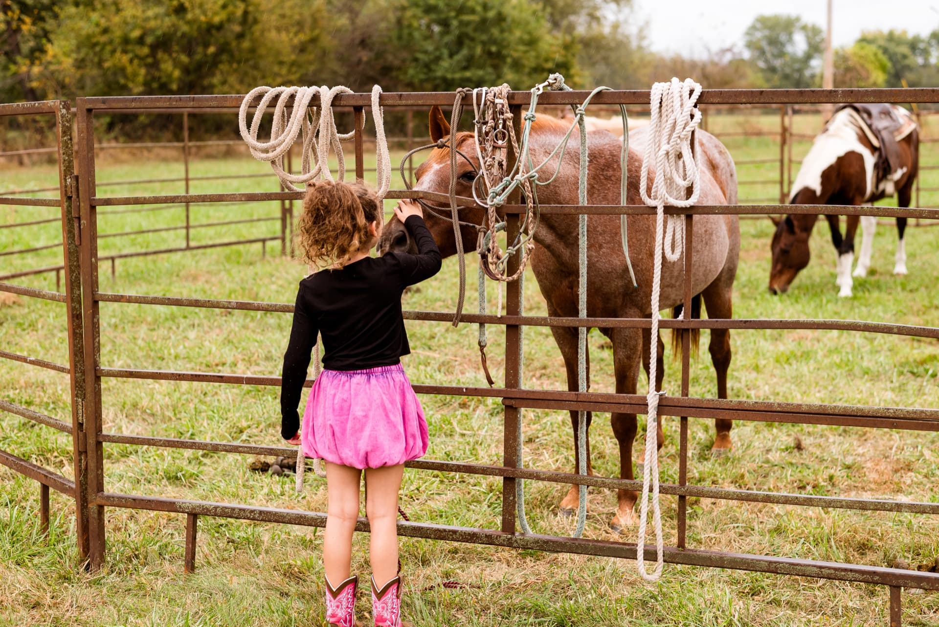 Girl in pink boots petting a horse through the fence
